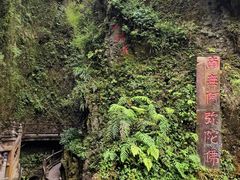 -峨眉山风景名胜区