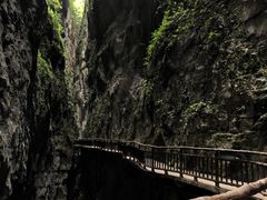 -武陵山森林公园