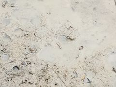 -北海金海湾红树林生态旅游区