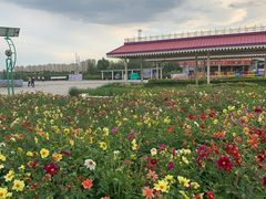 -霸王河欢乐世界