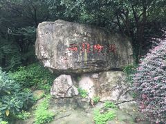 -杭州少年儿童公园
