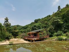 -云溪植物园