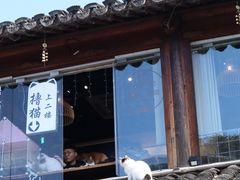 门面-仙雨林·奶茶鲜果茶(书院巷店)