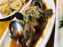 清蒸老虎斑-南海渔家•海鲜•正宗海南菜(海棠湾店)