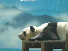 -鄂尔多斯野生动物园