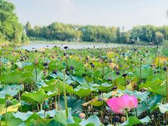 -上海市保健医疗中心