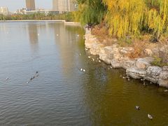 -迎泽公园