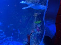 -太平洋海底世界