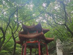 -皇藏峪国家森林公园