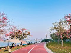 -灵山岛风景区