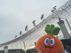 -山西体育中心红灯笼体育场