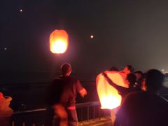 -合肥滨湖国家森林公园