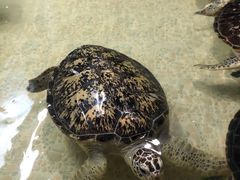 -常州海昌海洋探索馆