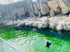 -上海野生动物园
