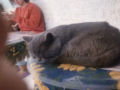 -平行世界·猫咖(首经贸店)