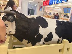 -红星前进面包牛奶公司(君太店)