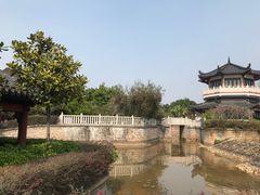 -广东花都湖国家湿地公园