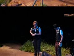 -夜间野生动物园