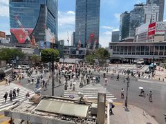 -涩谷全向十字路口