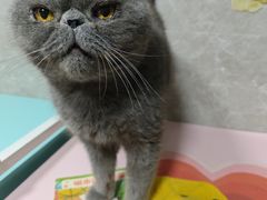 -瑞虹新天地月亮湾