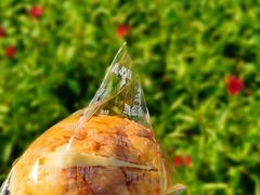 菠萝油-罗莎蛋糕(魔法师司门口店)