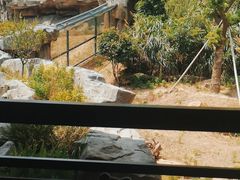-宁波野生动物园