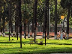 -四川大学(望江校区)