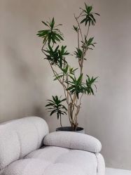 -VALMONT·若嫚蝶国际美肤中心