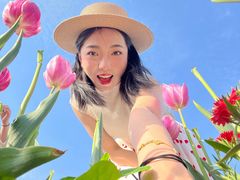 -荷兰花海