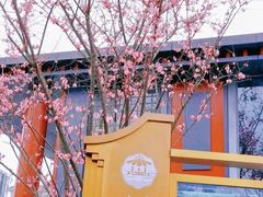 -成都市文化公园