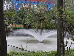 -合肥滨湖国家森林公园