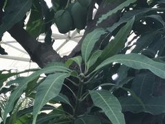 -祥源·阜阳生态乐园