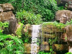 -广州神农草堂中医药博物馆