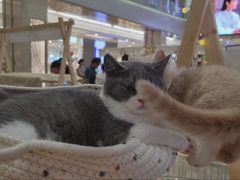 -杭州西湖银泰百货