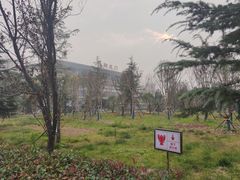 -洛阳龙门站