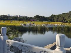 -北陵公园