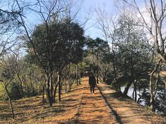 -南京市无想山景区