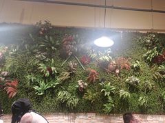 -味之绝热血美蛙鱼火锅(中坝店)