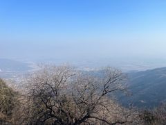 -香山公园