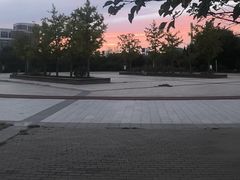 -西青郊野公园