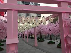 -金茂览秀城
