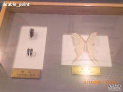 -上海昆虫博物馆