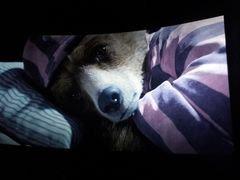 -博纳国际影城IMAX(中央大道店)