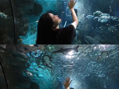 -福州罗源湾海洋世界旅游区