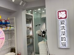 -爱洗澡的猫(望京店)