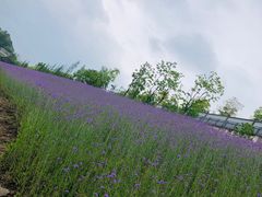 -石井坡(地铁站)