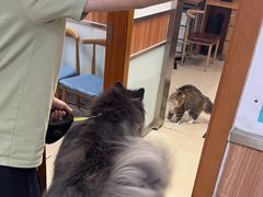 -宠福鑫动物医院(城北分院)