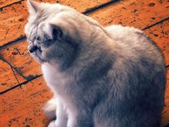 -雕刻时光·咖啡·酒吧·西餐(香山店)