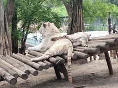 -北京野生动物园