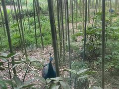 -苏州环秀晓筑养生度假村